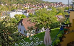 Gemütliche Gartenwohnung mit Altstadtblick